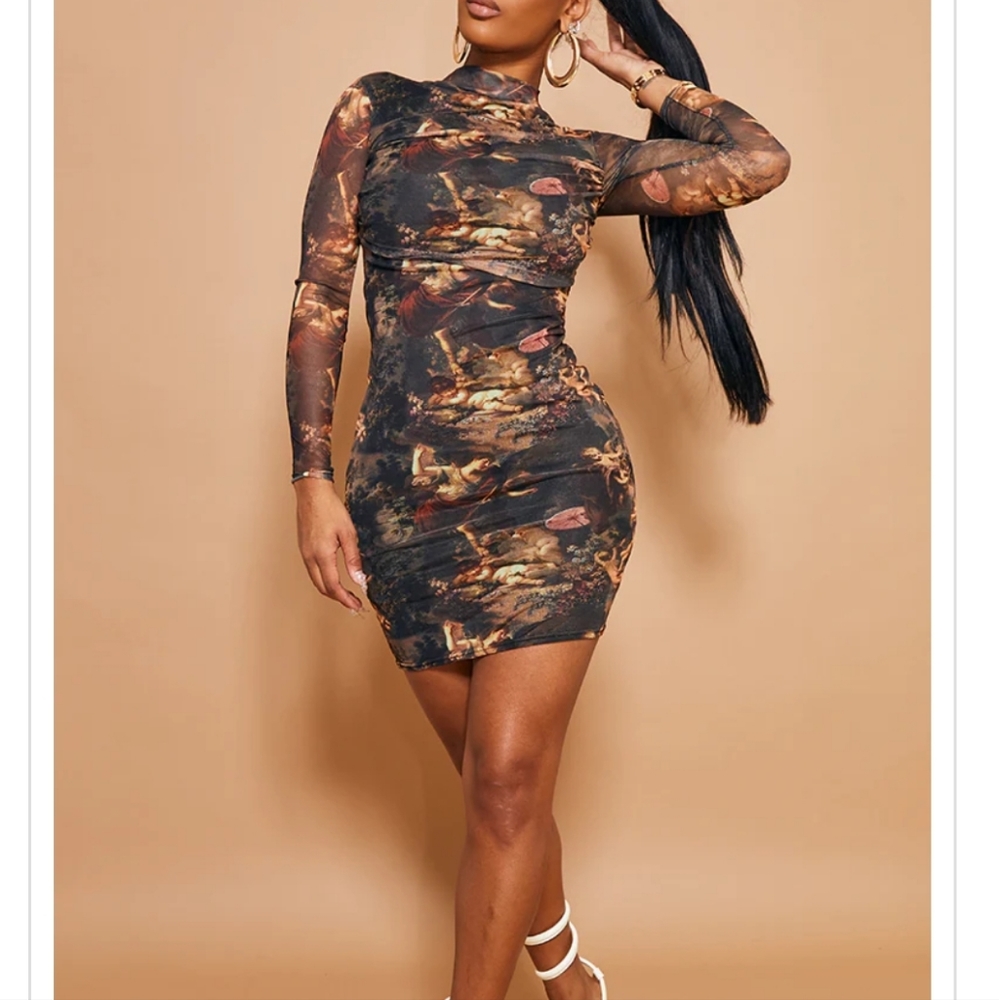 Long Sleeve Sheer Dress